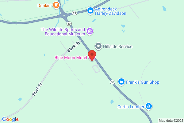 Blue Moon Motel the