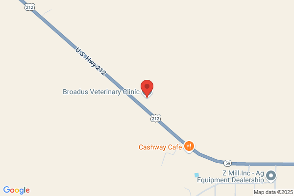 Broadus Veterinary Clinic