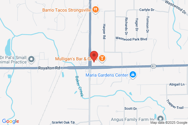 AutoZone Auto Parts