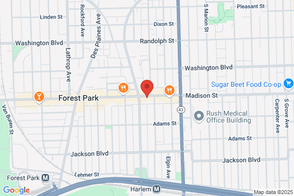 Forest Insurance