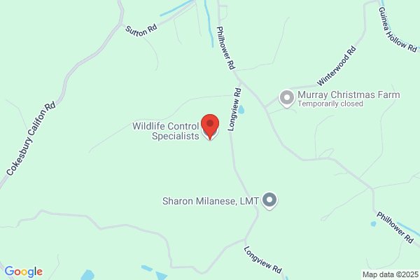 Velocity Rodent/Wildlife Control
