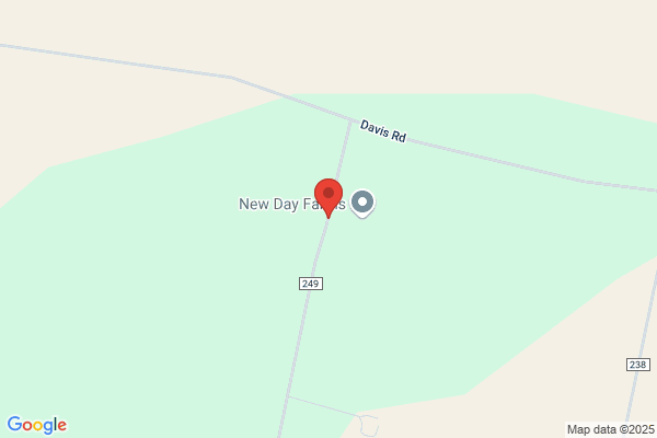 Day Lay Egg Farm