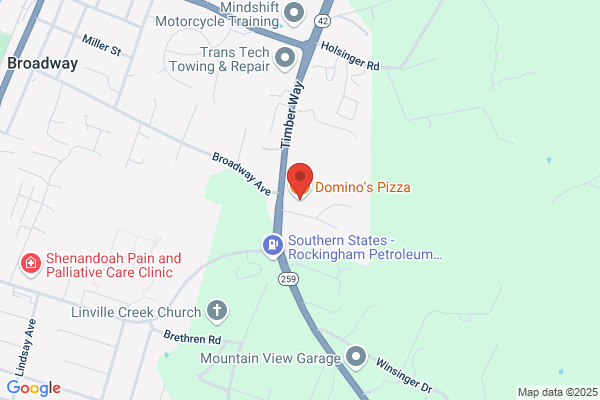 Domino's Pizza