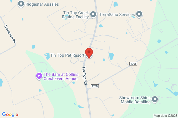 Tin Top Auto Service