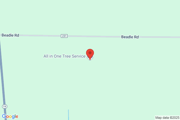 All in One Tree Service