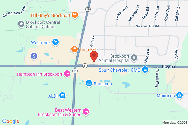 Firestone Tire & Service Centers