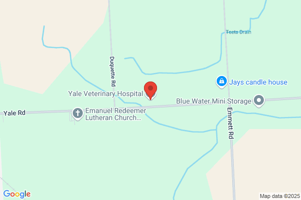 Yale Veterinary Hospital