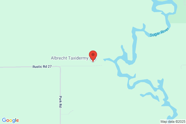 Albrecht Taxidermy
