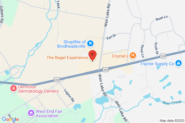 Bagel Experience the