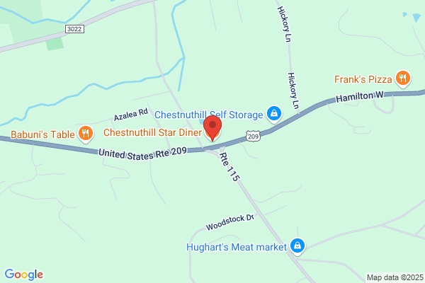 Chestnut Hill Diner