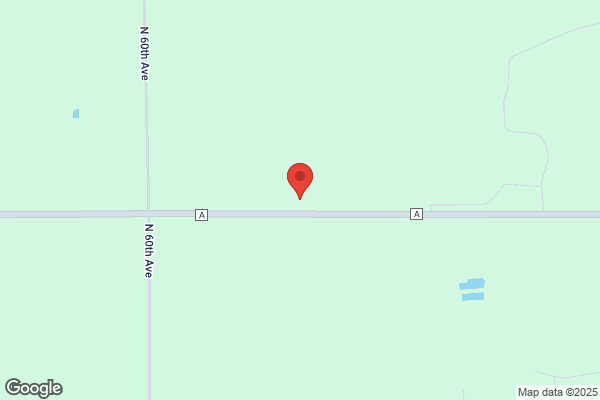 Van Der Geest Dairy Cattle