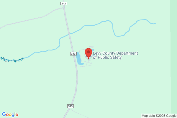 Ambulance Levy County