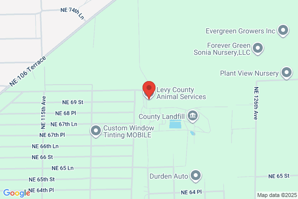 Humane Society of Levy County