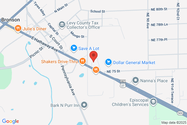 NAPA Auto Parts - Auto Parts of Bronson