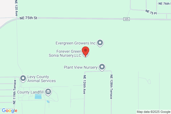 Roswell Nursery Llc