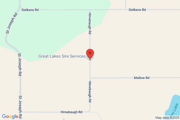 Great Lakes Sire Service