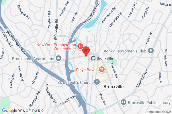 Rug Cleaning Bronxville