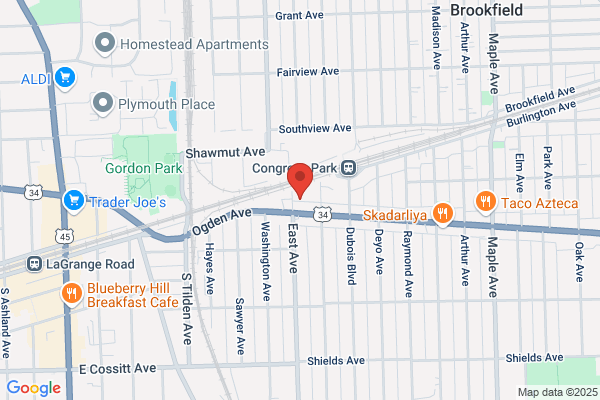 Douglas Auto Body Inc