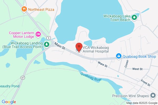 VCA Wickaboag Animal Hospital