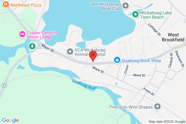 NAPA Auto Parts - Belchertown Auto Parts Inc