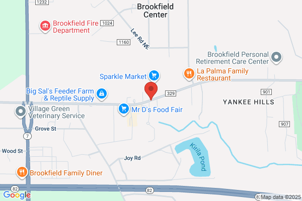 Brookfield Video