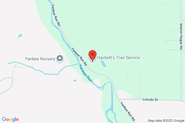 Hackett's Tree Service