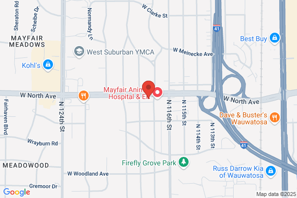 Dr David J Foti Chiropractor