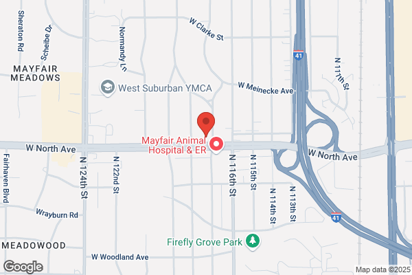 Wisconsin Orthopedic Physical Therapy