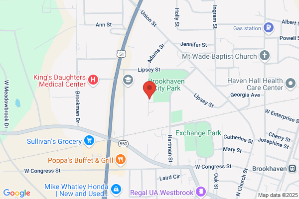 Brookhaven Electronics