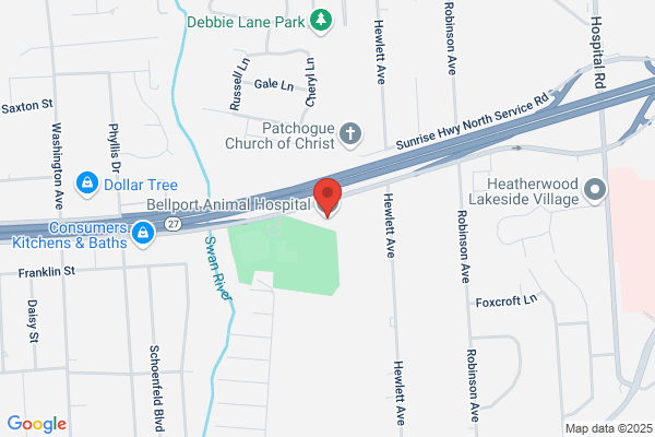 Bellport Animal Hospital