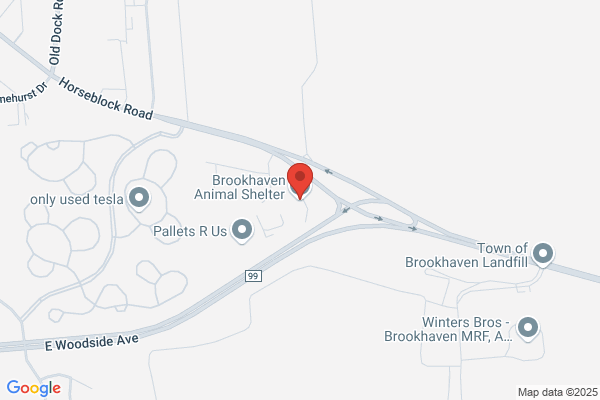Brookhaven Town of, Animal Shelter