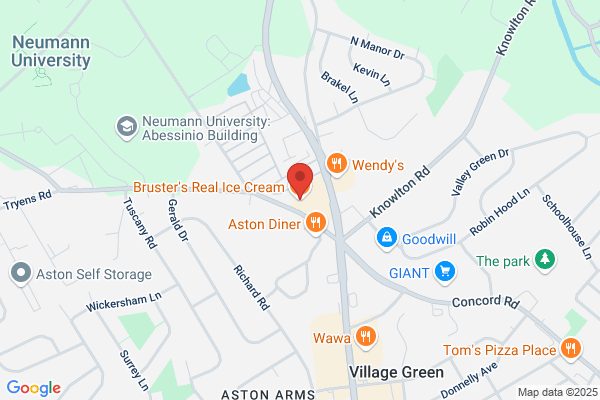 Bruster's Ice Cream