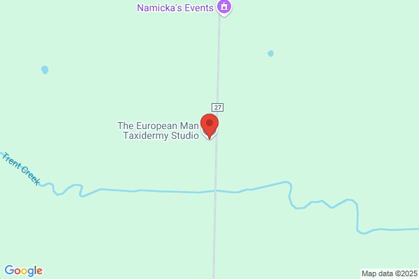 Shopher's Taxidermy Studio