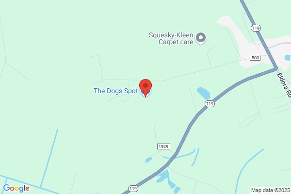 The Dogs Spot