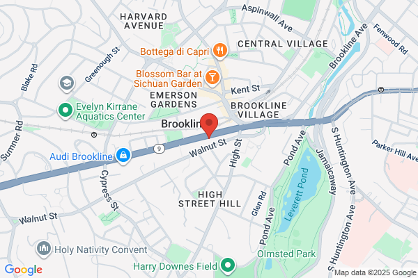 The Brookline Academy of Dance