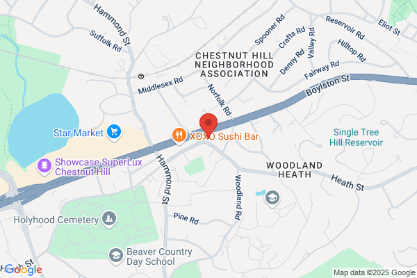 Garage Door Repair Chestnut Hill MA