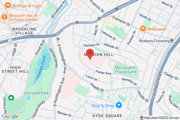 Camer Stephen J MD