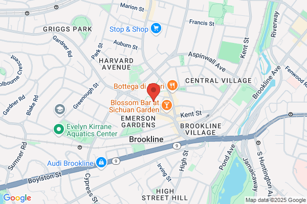 Brookline Town of, Information Technology