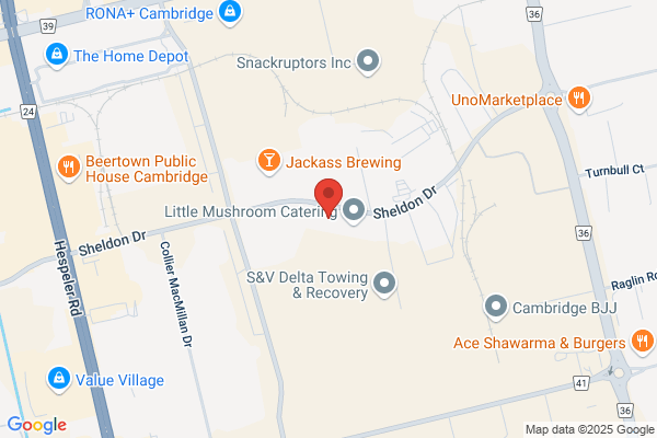Discount Car Insurance | Lowered Rates of Cambridge