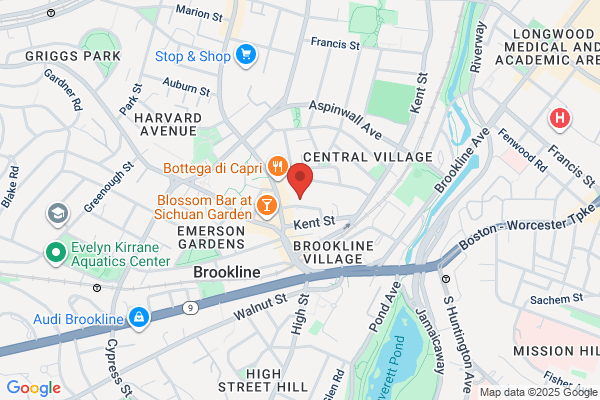 Goldfish Swim School - Brookline