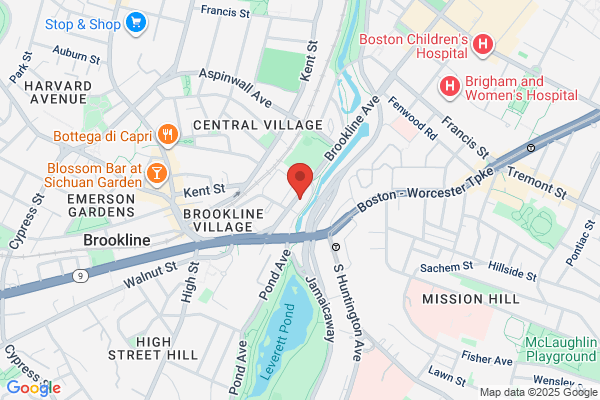 Brookline Foreign Motors