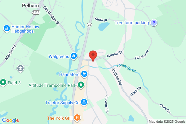 Pelham Healthcare Services