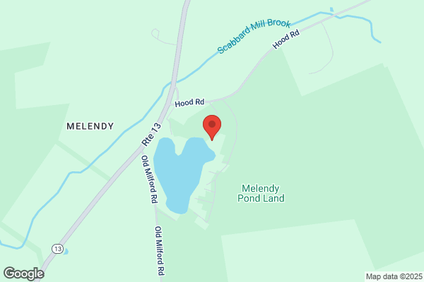 Scenic Driving School