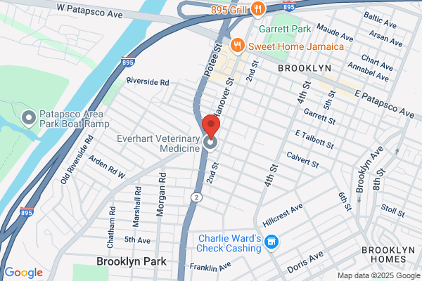 Gonce Funeral Service, P.A.