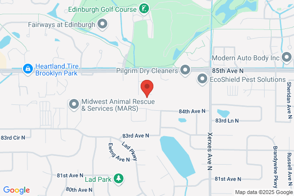 Best Auto Repair LLC