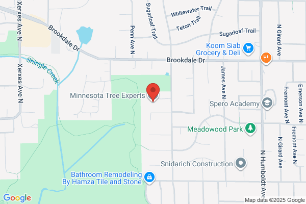 Minnesota Tree Experts