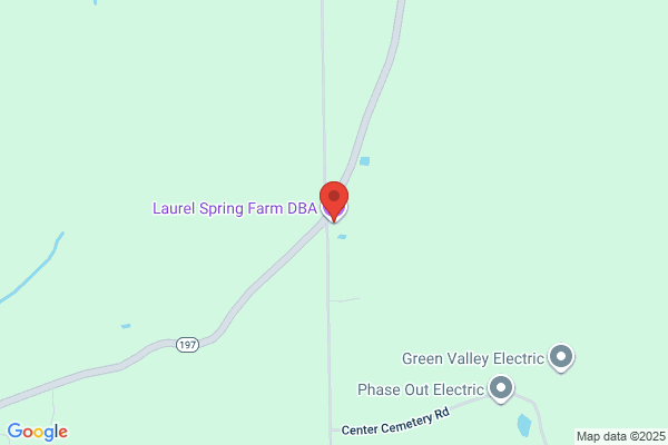 Laurel Forge
