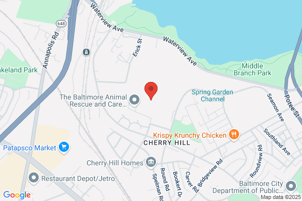 Jehovahs Witnesses Kingdom Hall
