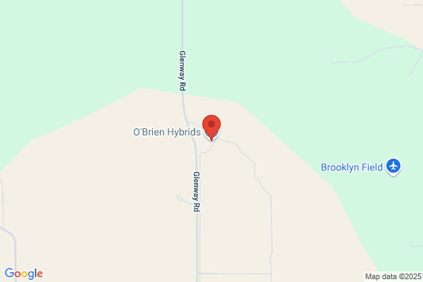O'brien Hybrids