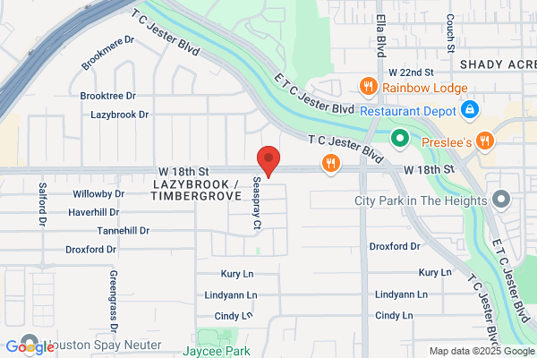 Lice Clinics of America - Houston South and Bay Area